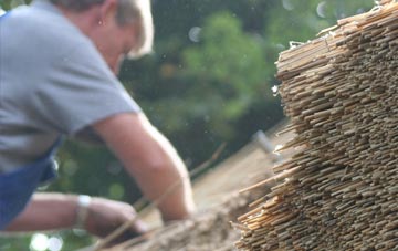 professional Lacasdal thatchers